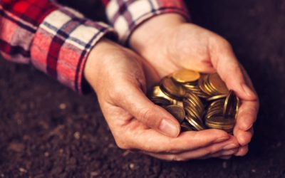 Egyszerűbben adózhatnak a mezőgazdaságból élők