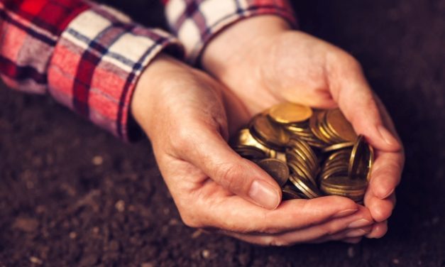 Egyszerűbben adózhatnak a mezőgazdaságból élők