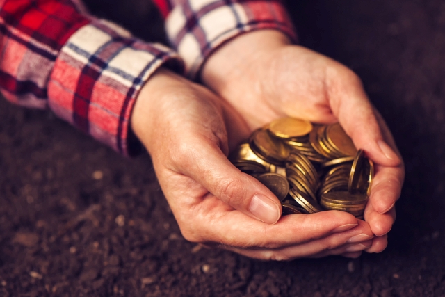 Egyszerűbben adózhatnak a mezőgazdaságból élők