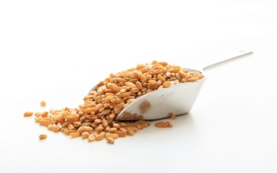 Egy évvel meghosszabbodik több vidékfejlesztési pályázati felhívás kötelezettségvállalási időszaka