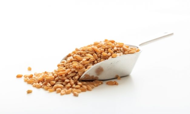 Egy évvel meghosszabbodik több vidékfejlesztési pályázati felhívás kötelezettségvállalási időszaka