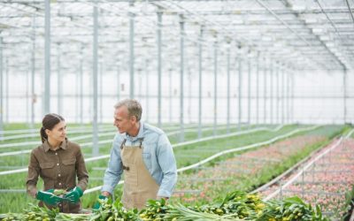 Elfogadta az Országgyűlés a családi gazdaságokról szóló törvényjavaslatot