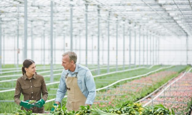 Elfogadta az Országgyűlés a családi gazdaságokról szóló törvényjavaslatot