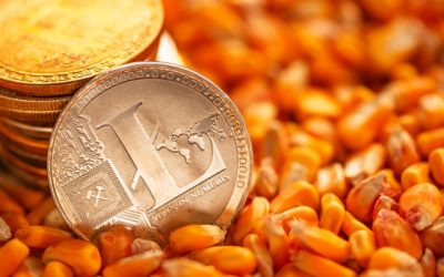 Indul az agrártámogatások előlegfizetése