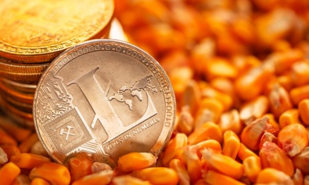 Indul az agrártámogatások előlegfizetése