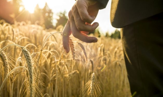 Közös Agrárpolitika: érvényesítik a magyar érdekeket