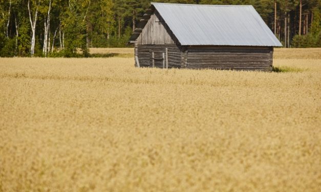 Társadalmi egyeztetés a hátrányos helyzetű települések vállalkozásfejlesztési támogatásáról