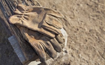 Újra napirenden a bújtatott munkaviszony