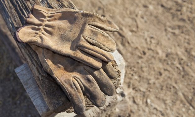 Újra napirenden a bújtatott munkaviszony