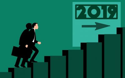 Csúcson zárt tavaly a cégalapítás