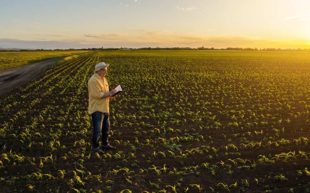 Kedvezőbbek az aranykalászos gazdaképzés feltételei