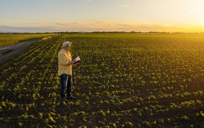 Kedvezőbbek az aranykalászos gazdaképzés feltételei