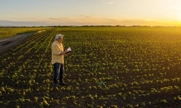 Kedvezőbbek az aranykalászos gazdaképzés feltételei