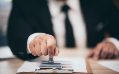 Elindult a Széchenyi újraindítási hitelek folyósítása az Erste Banknál