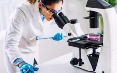 Több száz milliót hívhatnak le idén a hazai vállalatok kutatás-fejlesztésre