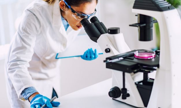 Több száz milliót hívhatnak le idén a hazai vállalatok kutatás-fejlesztésre