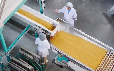 Élelmiszeripari üzemek komplex fejlesztésére lehet pályázni