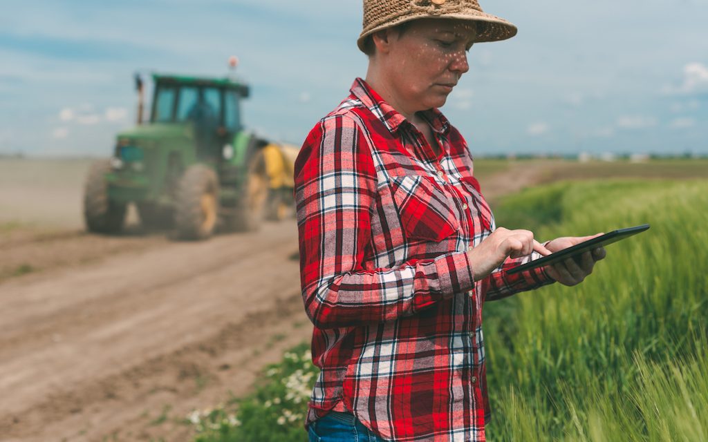 Pályázatot hirdettek a cégek kutatásainak erősítésére, és terménytárolók, szárítók és tisztítók fejlesztésére