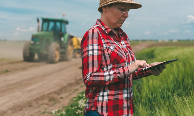Pályázatot hirdettek a cégek kutatásainak erősítésére, és terménytárolók, szárítók és tisztítók fejlesztésére