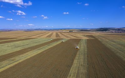 Nem szűkülnek az agrárfejlesztésekre fordítható pályázati lehetőségek