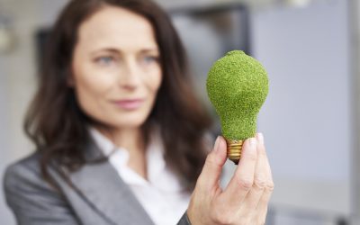 Újraindul a Zöld Nemzeti Bajnokok program