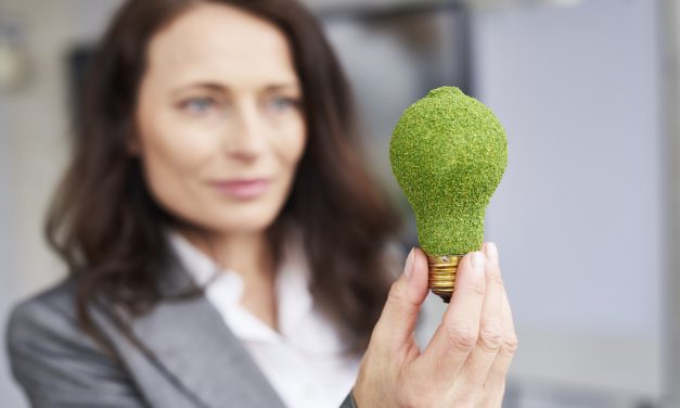 Újraindul a Zöld Nemzeti Bajnokok program