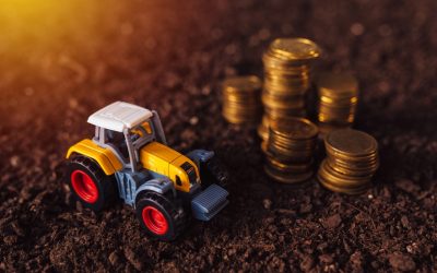 Kedvező adóváltozásokkal számolhatnak a vállalkozások és a gabonaágazat szereplői