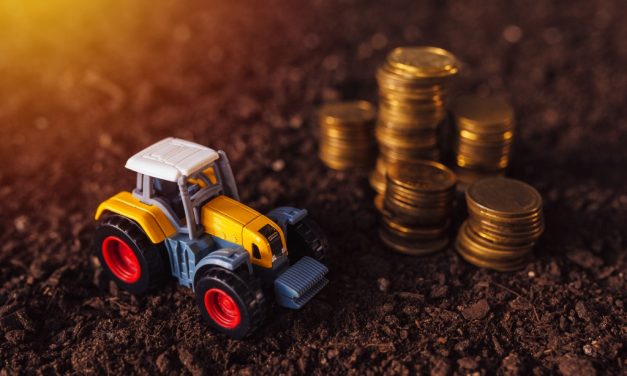 Kedvező adóváltozásokkal számolhatnak a vállalkozások és a gabonaágazat szereplői