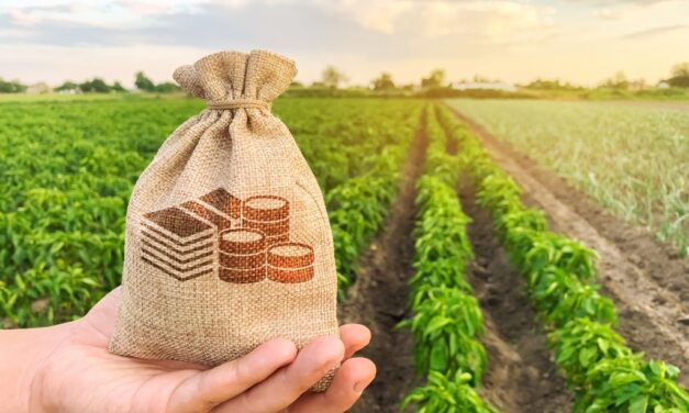 Összesen 230 milliárd forintnyi pályázat indul a vidéki településeknek