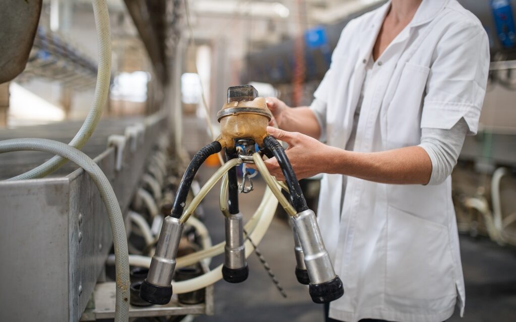 Harmincmilliárdos program indul a falvakban működő kisvállalkozásoknak