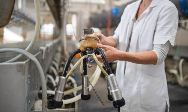 Harmincmilliárdos program indul a falvakban működő kisvállalkozásoknak