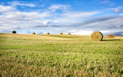 Kiemelt forrásokhoz jut a magyar vidék