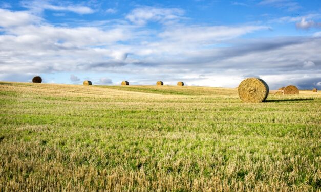 Kiemelt forrásokhoz jut a magyar vidék