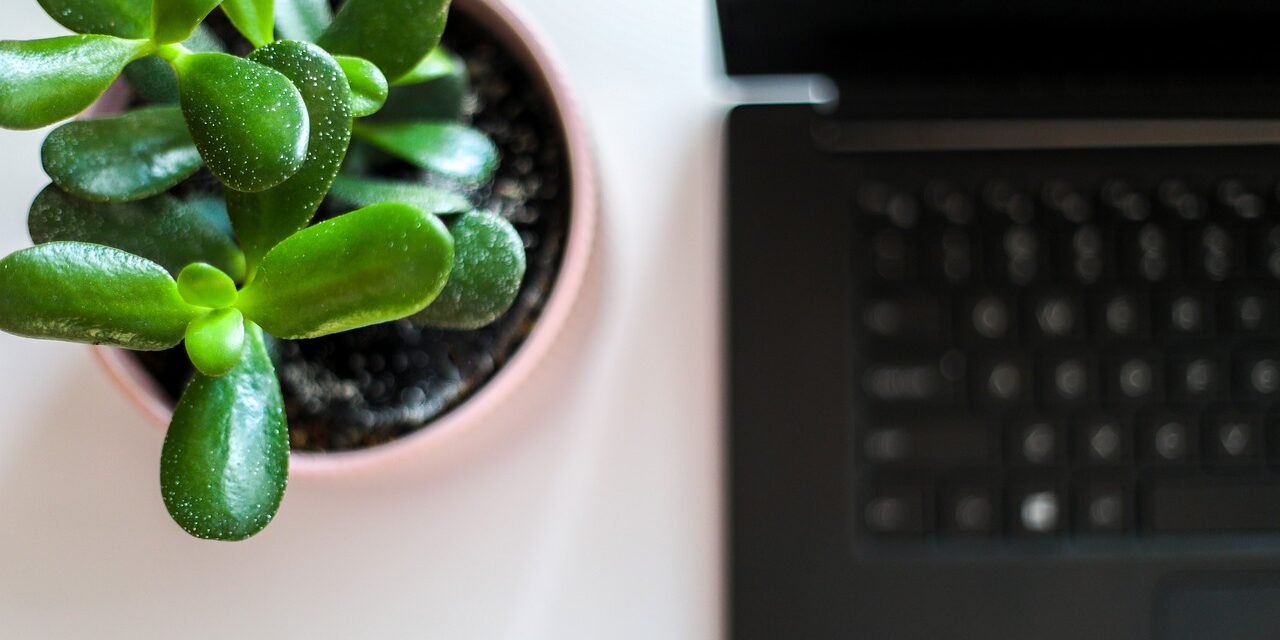 Zöld digitalizáció? Igen, létezik!