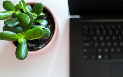 Zöld digitalizáció? Igen, létezik!