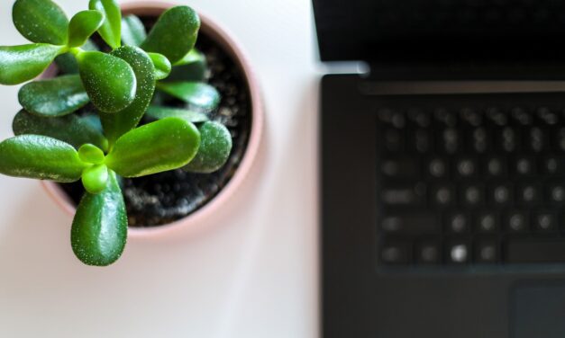 Zöld digitalizáció? Igen, létezik!